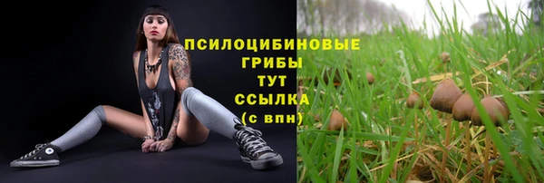 метамфетамин Новозыбков