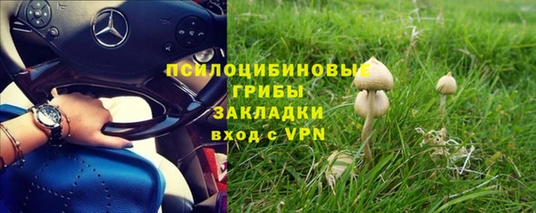 дживик Новодвинск