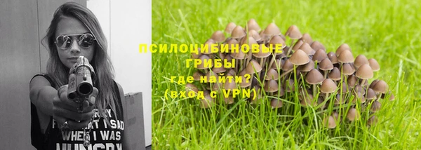 дживик Новодвинск